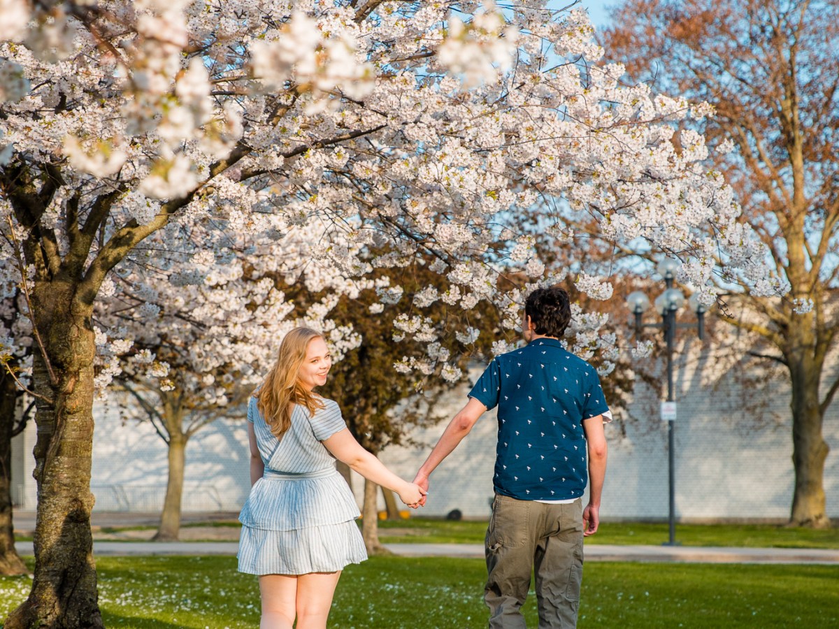 Sarah & Alex / Cherry Blossom Engagement&nbsp;Shoot